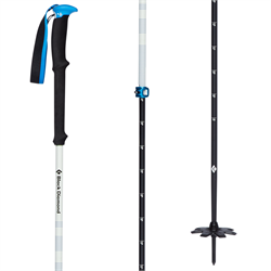 Black Diamond Expedition 2 Pro Ski Poles 2025