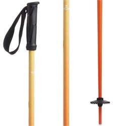 evo Merge Ski Poles